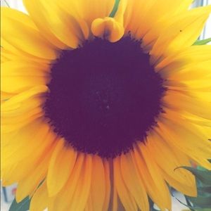 Meet your Posher, Chloe